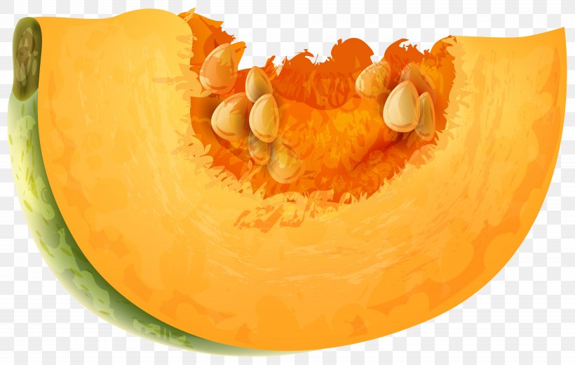 Pumpkin Vegetable Cucurbita Clip Art, PNG, 8000x5081px, Pumpkin, Calabaza, Cucumber Gourd And Melon Family, Cucurbita, Fruit Download Free