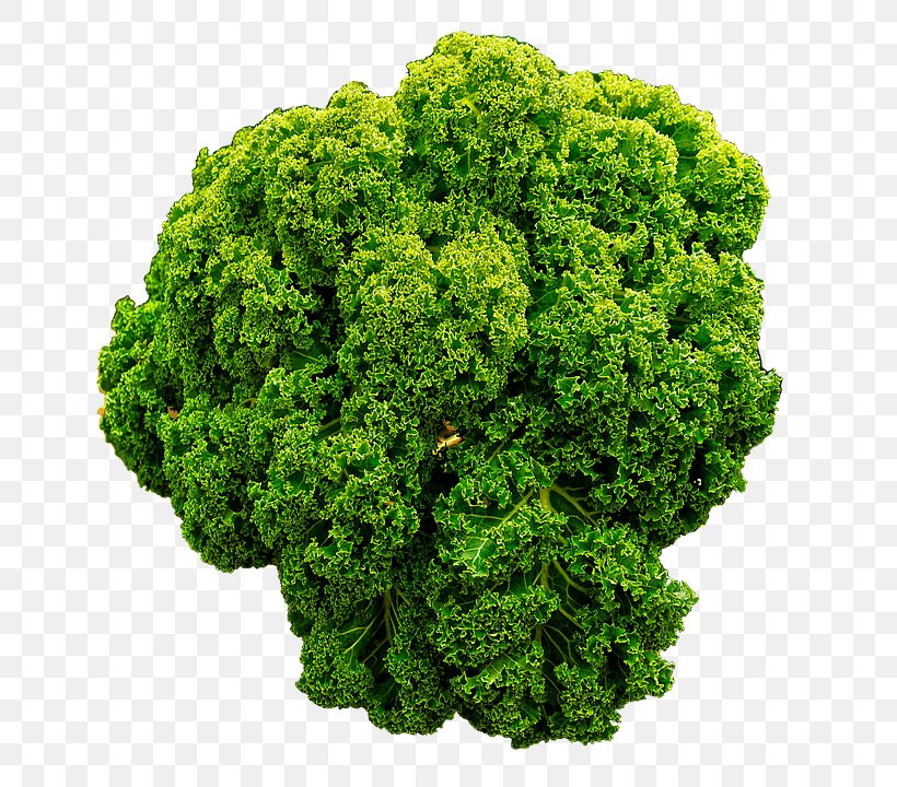 The Virgin Diet Food Kale Vegetable Health, PNG, 707x720px, Virgin Diet, Aonori, Bluecrown Passionflower, Cabbage, Cruciferous Vegetables Download Free