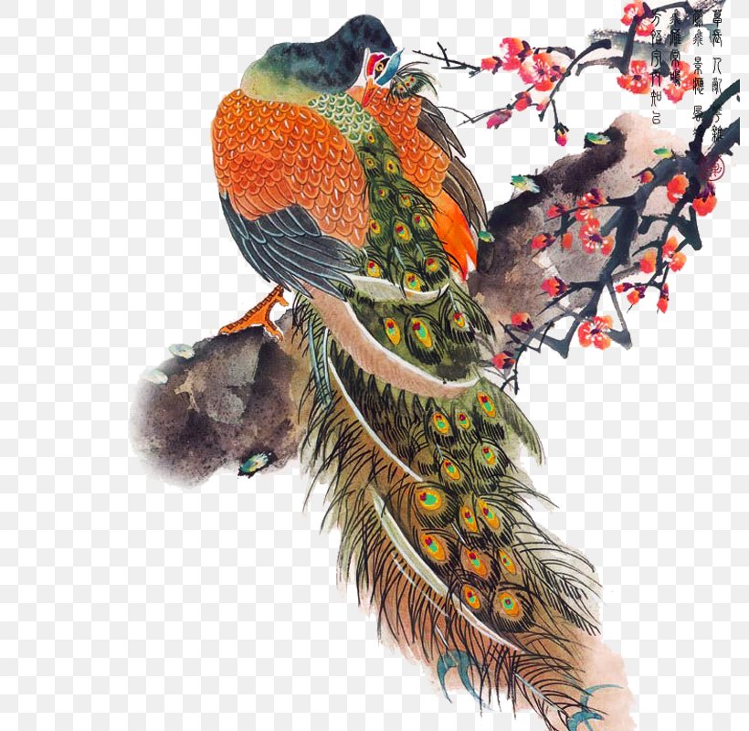 Bird Peafowl Painting Feather, PNG, 800x800px, Bird, Art, Asiatic Peafowl, Beak, Creativity Download Free