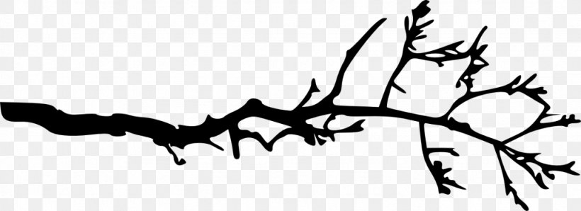 Branch Silhouette Tree, PNG, 1024x373px, Branch, Art, Bat, Black And White, Drawing Download Free