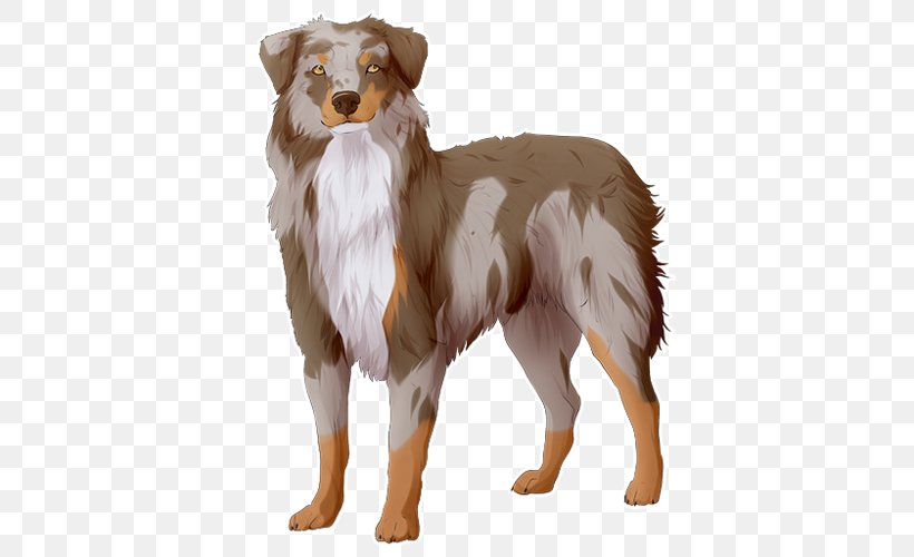 Dog Breed Australian Shepherd Miniature American Shepherd Nova Scotia Duck Tolling Retriever Companion Dog, PNG, 500x500px, Dog Breed, Australian Shepherd, Breed, Carnivoran, Colony Of Nova Scotia Download Free