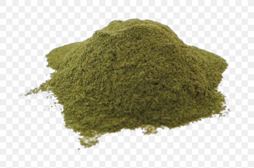 Kratom Opioid Mitragynine Drug Papaver Somniferum, PNG, 1024x679px, Kratom, Alkaloid, Celery Salt, Drug, Mitragyna Download Free