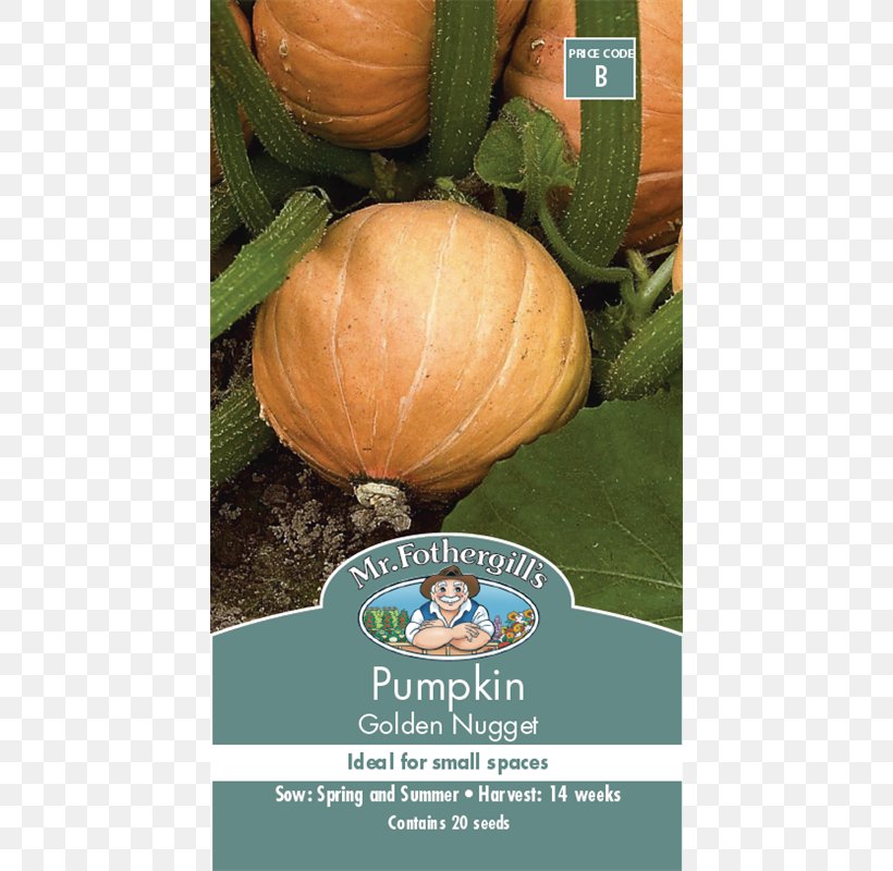 Pumpkin Winter Squash Calabaza Cucurbita Maxima Gourd, PNG, 800x800px, Pumpkin, Auglis, Calabaza, Cucurbita, Cucurbita Maxima Download Free