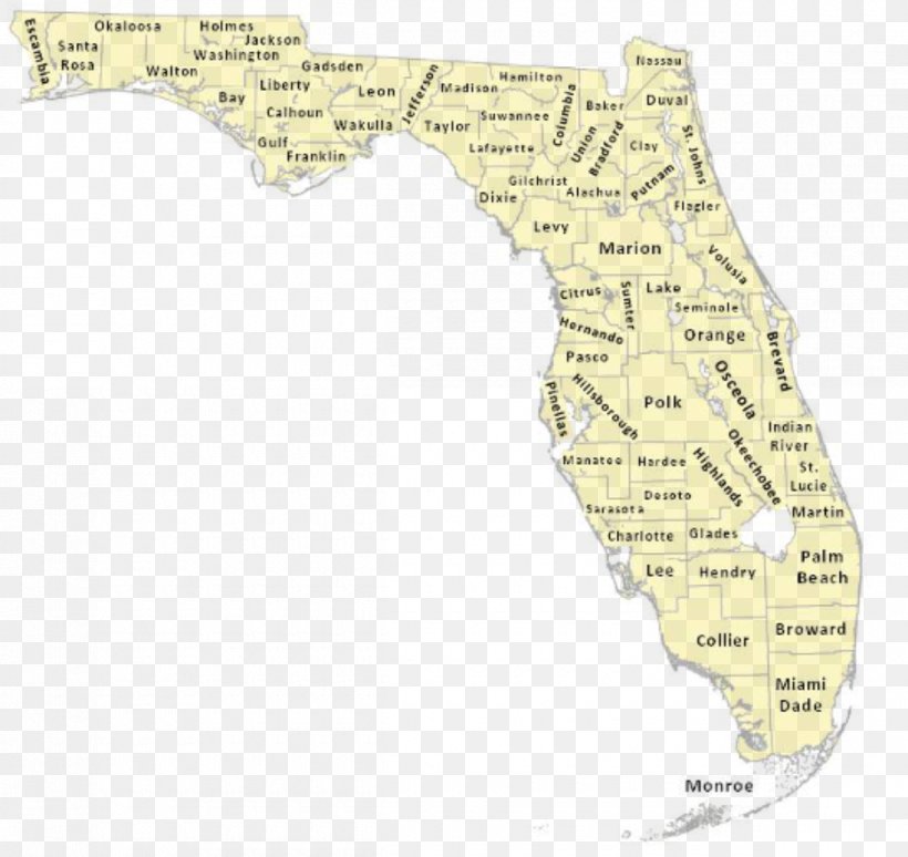 Bay County, Florida Martin County Pinellas County Seminole County, Florida Alachua County, Florida, PNG, 1200x1134px, Bay County Florida, Alachua County Florida, Area, County, Florida Download Free