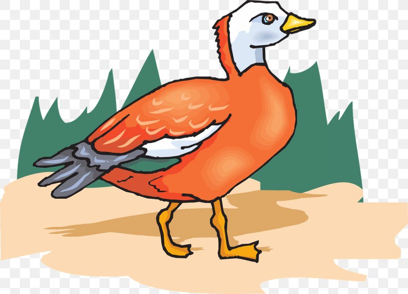 Duck Bird Clip Art, PNG, 1280x925px, Duck, Animaatio, Art, Beak, Bird Download Free