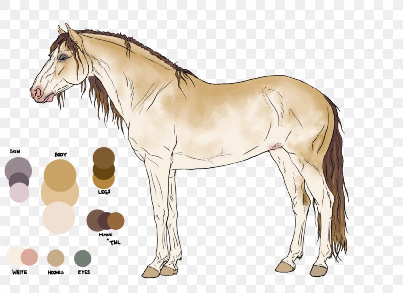 Mane Foal Stallion Mustang Mare, PNG, 1047x762px, Mane, Animal Figure, Bridle, Colt, Dog Harness Download Free