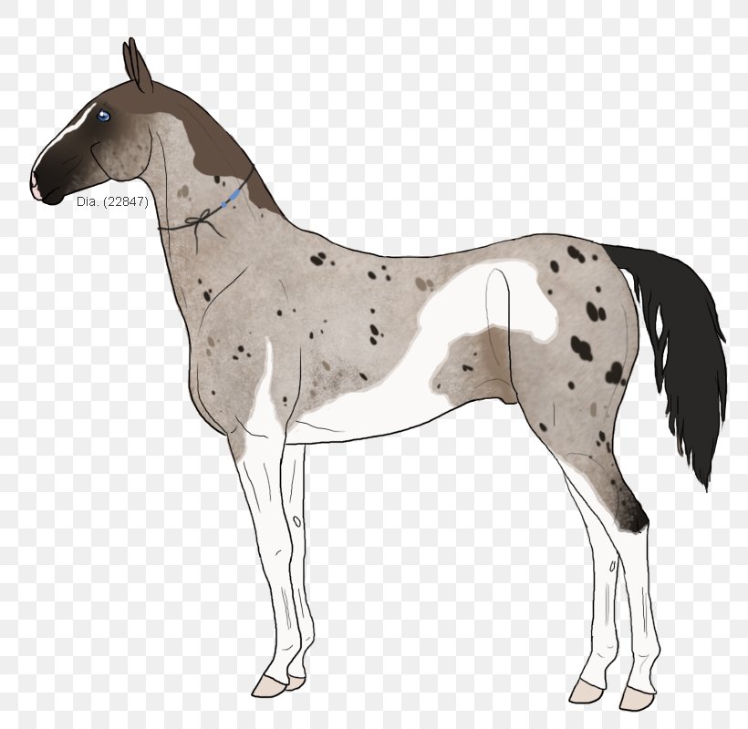 Mule Foal Stallion Mare Colt, PNG, 800x800px, Mule, Animal Figure, Bridle, Colt, Father Download Free