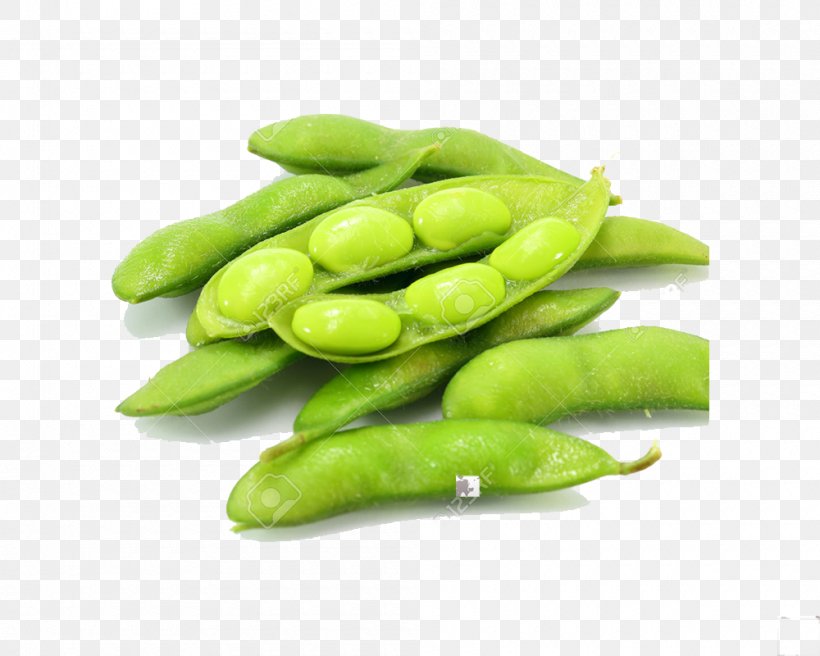 Edamame Indian Cuisine Japanese Cuisine Soybean, PNG, 1000x800px, Edamame, Bean, Broad Bean, Canning, Commodity Download Free