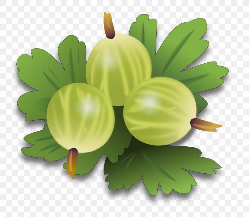 Gooseberry Fruit Clip Art, PNG, 2400x2098px, Gooseberry, Berry, Currant, Food, Fruit Download Free