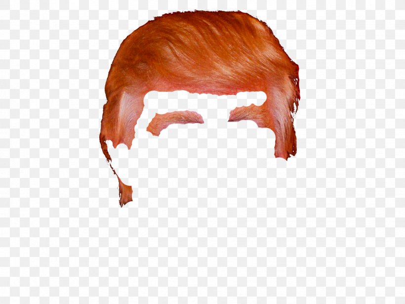 Hair Thepix Comb Clip Art, PNG, 1837x1378px, Hair, Comb, Donald Trump, Drawing, Efforts To Impeach Donald Trump Download Free