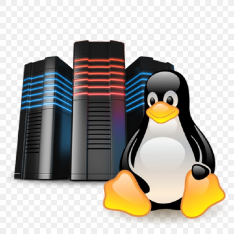 Shared Web Hosting Service Internet Hosting Service CPanel, PNG, 1024x1024px, Shared Web Hosting Service, Bandwidth, Bird, Computer Servers, Cpanel Download Free