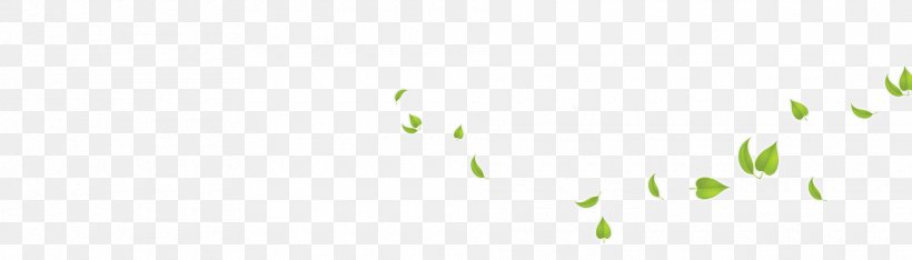 Brand Green Pattern, PNG, 1920x550px, Brand, Computer, Grass, Green, Rectangle Download Free