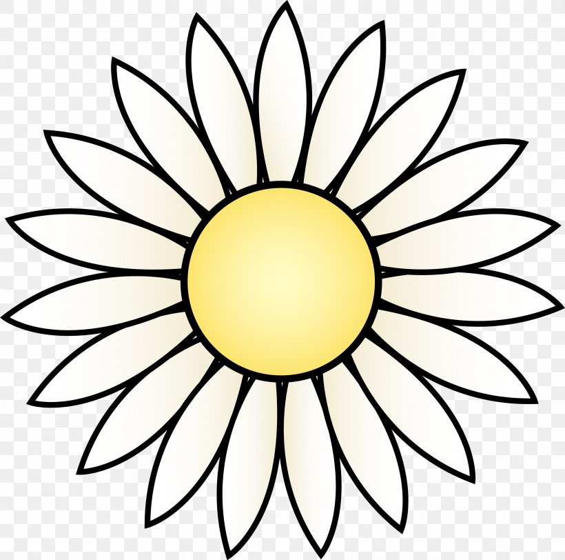 Common Sunflower Drawing White Black Clip Art, PNG, 4701x4656px, Common ...