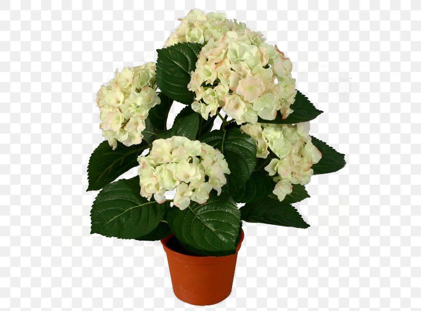 Hydrangea Flowerpot Houseplant, PNG, 549x606px, Hydrangea, Artificial Flower, Cachepot, Color, Cornales Download Free