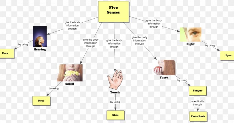 The Five Senses Concept Map Olfaction Perception, PNG, 1091x573px, Watercolor, Cartoon, Flower, Frame, Heart Download Free