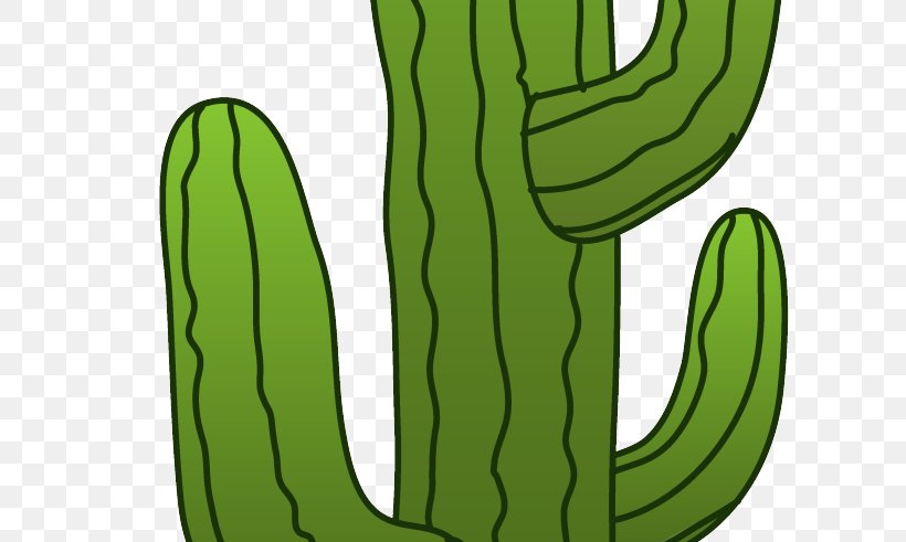 Cactaceae Saguaro Clip Art, PNG, 800x491px, Cactaceae, Cactus, Cartoon, Commodity, Desert Download Free