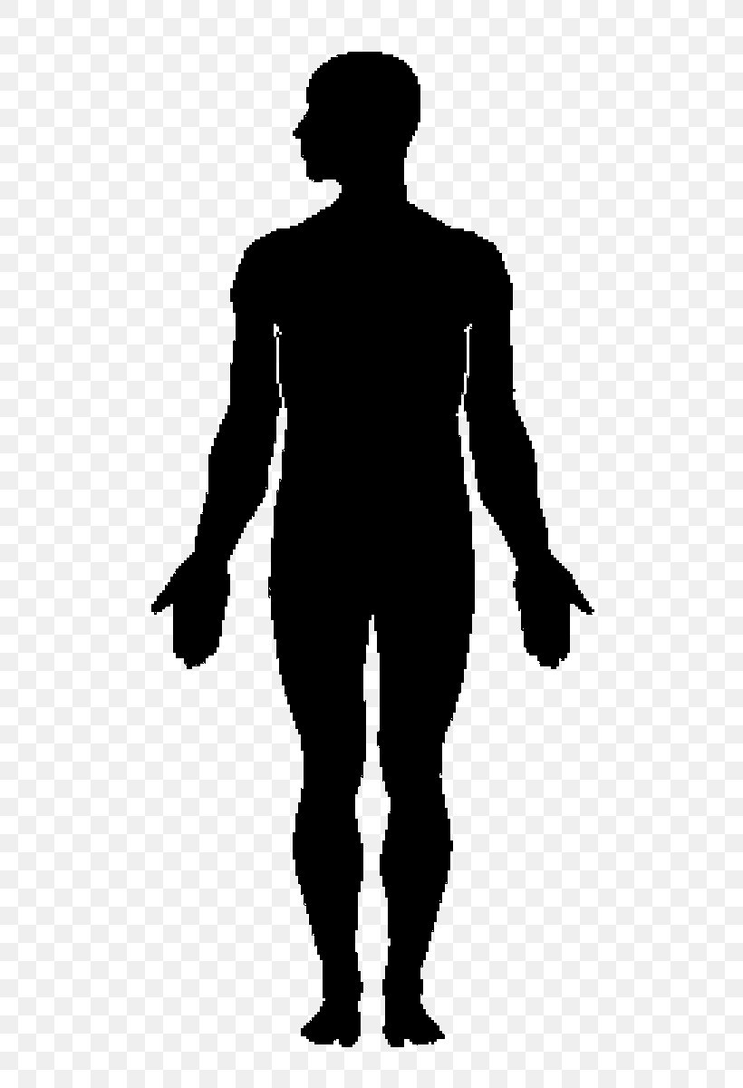 Human Body Silhouette Clip Art, PNG, 624x1200px, Human Body, Black ...
