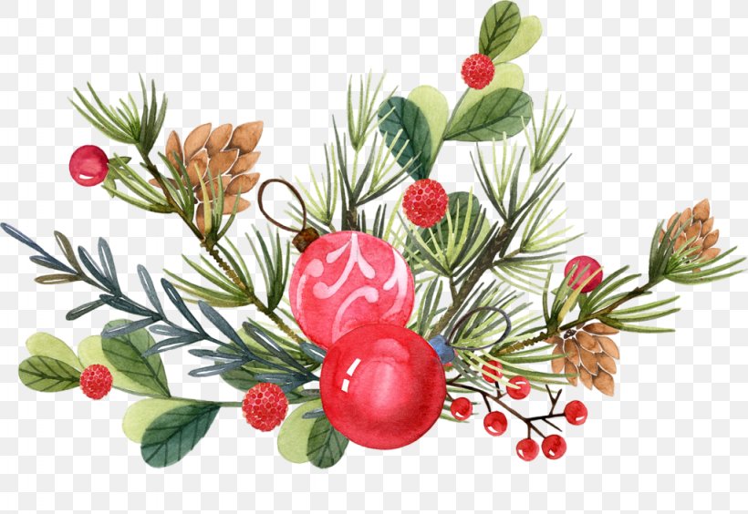 Christmas Ornament Christmas Tree, PNG, 1024x705px, Christmas, Branch, Cartoon, Christmas Ornament, Christmas Tree Download Free