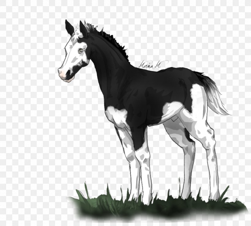 Mane Foal Mustang Colt Stallion, PNG, 900x810px, Mane, Black And White, Bridle, Colt, Florida Kraze Krush Soccer Club Download Free