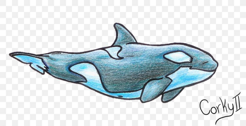 Common Bottlenose Dolphin Killer Whale Illustration Drawing, PNG, 1024x525px, Common Bottlenose Dolphin, Animal Figure, Artwork, Automotive Design, Biology Download Free