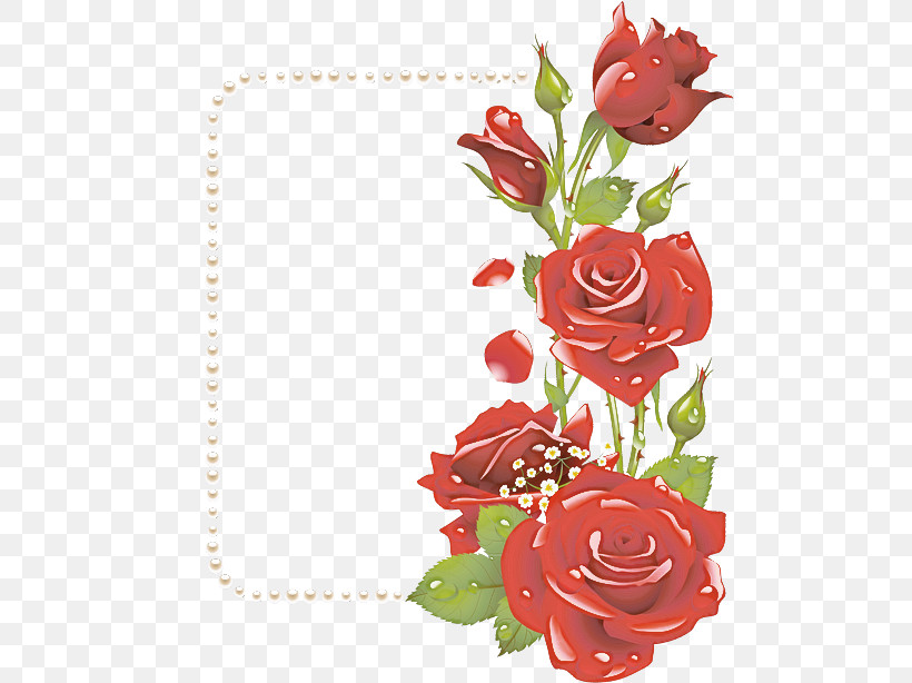Garden Roses, PNG, 504x614px, Rose, Drawing, Floral Design, Flower, Garden Roses Download Free