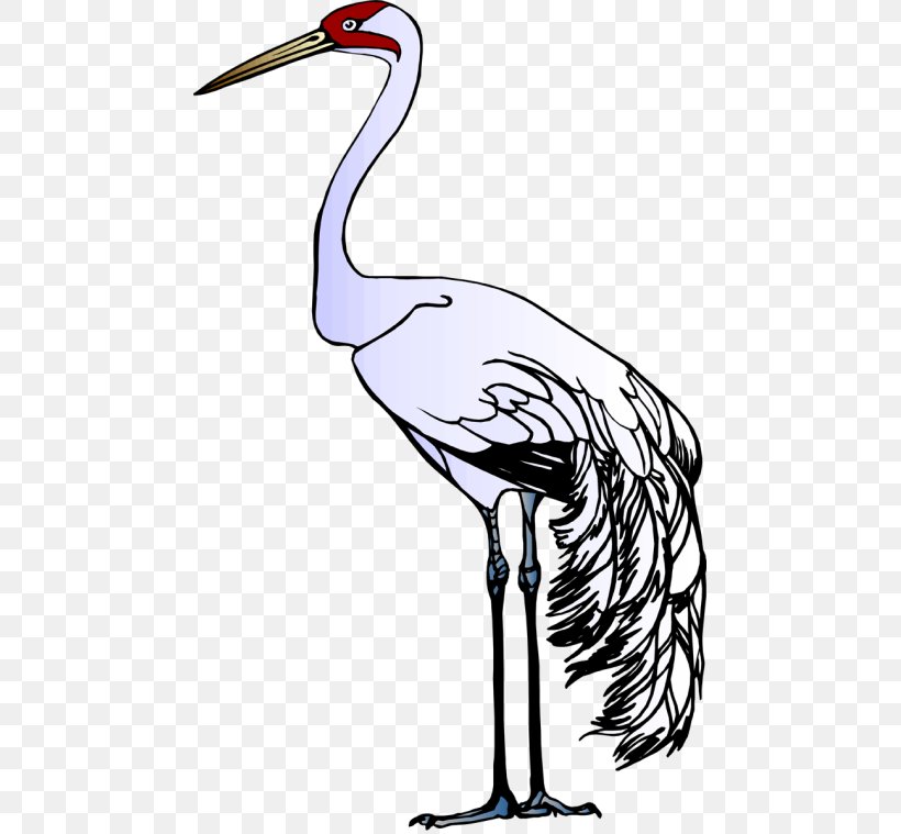 Red-crowned Crane Heron Stork Clip Art, PNG, 467x759px, Crane, Animal, Art, Artwork, Beak Download Free