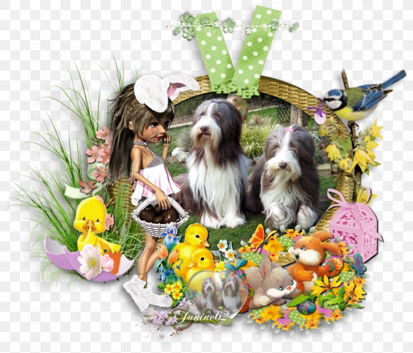 Dog Breed Shih Tzu Puppy Companion Dog Easter, PNG, 863x739px, Dog Breed, Breed, Carnivoran, Companion Dog, Crossbreed Download Free