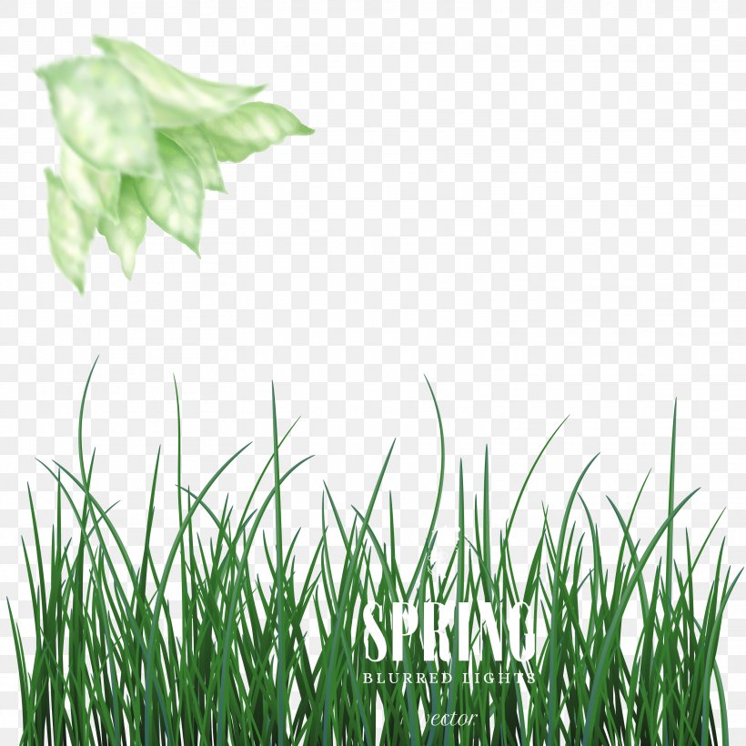 Green Euclidean Vector, PNG, 3125x3125px, Green, Computer Graphics, Designer, Grass, Grass Family Download Free