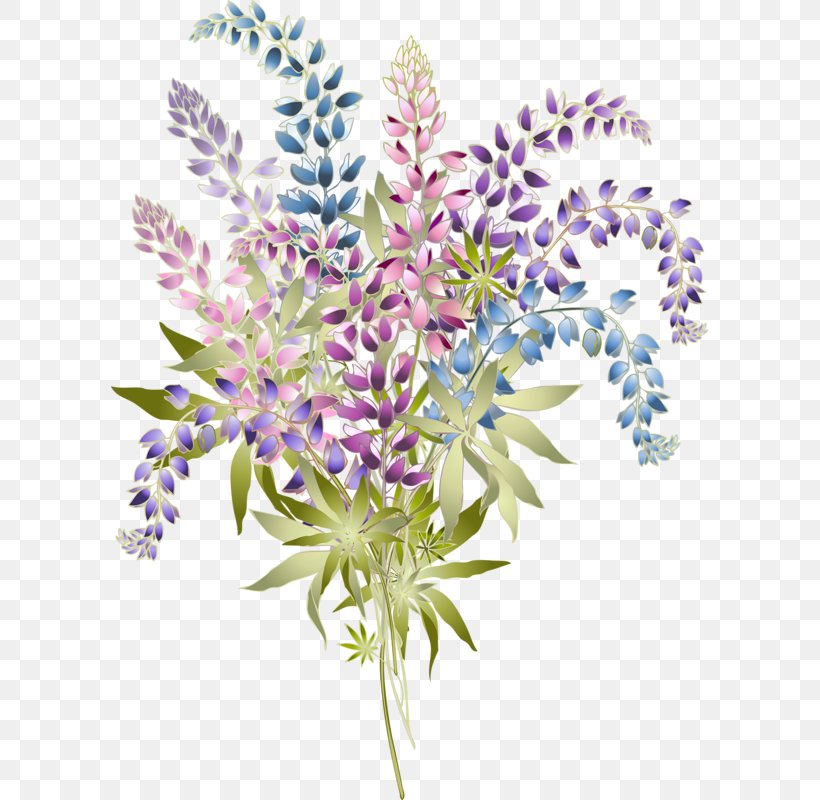 Lupine Royalty-free Clip Art, PNG, 597x800px, Lupine, Art, Cut Flowers, Floral Design, Flower Download Free