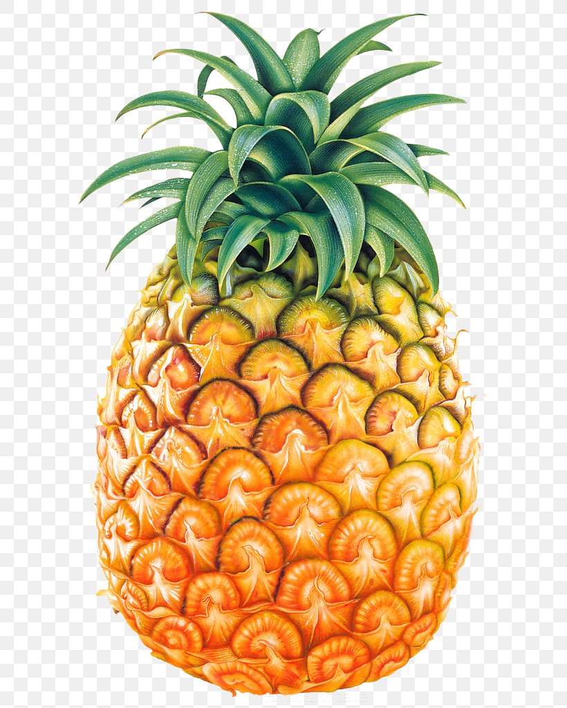 Pineapple Clip Art, PNG, 620x1024px, Pineapple, Ananas, Bromeliaceae, Chunk, Food Download Free