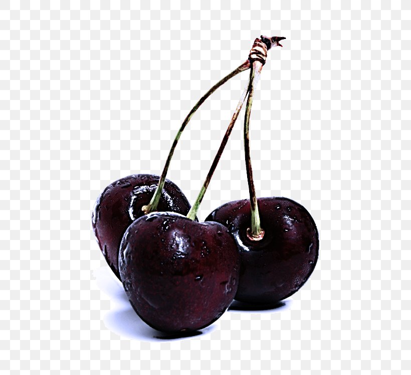 Cherry Fruit European Plum Plant Black Cherry, PNG, 600x750px, Cherry, Black Cherry, European Plum, Food, Fruit Download Free