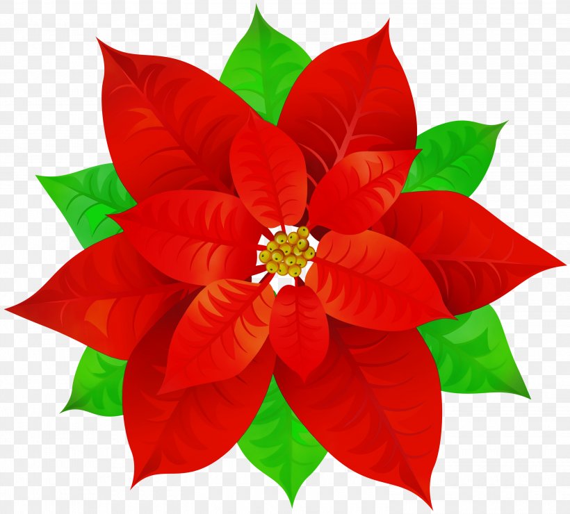 Christmas Poinsettia, PNG, 3000x2710px, Watercolor, Christmas Day, Christmas Ornament, Cut Flowers, Flower Download Free