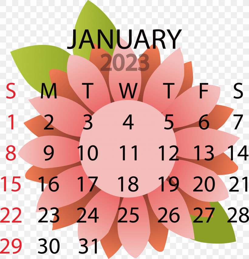 Flower Line Petal Calendar Geometry, PNG, 5592x5820px, Flower, Calendar, Geometry, Line, Mathematics Download Free