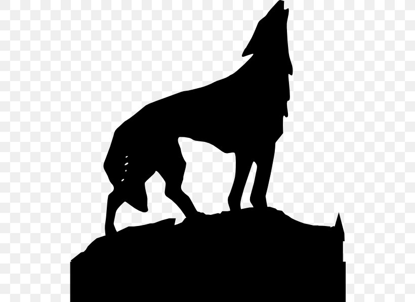 Gray Wolf Clip Art, PNG, 546x596px, Gray Wolf, Black, Black And White, Black Wolf, Carnivoran Download Free
