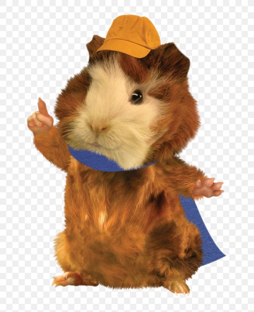 Linny The Guinea Pig Ming-Ming Duckling Nick Jr. Save The Wonder Pets!, PNG, 744x1006px, Linny The Guinea Pig, Bubble Guppies, Fairly Oddparents, Fur, Go Diego Go Download Free