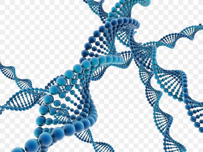 Stock Photography DNA Illustration, PNG, 1000x750px, Photography, Banco De Imagens, Dna, Gene, Genetics Download Free