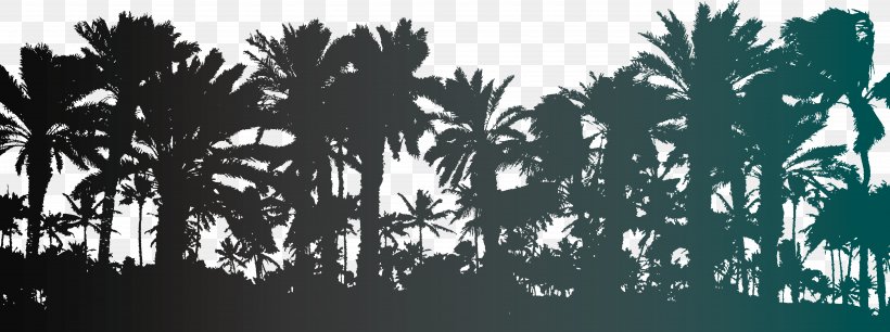 Arecaceae Tree Stock Photography Illustration, PNG, 4999x1866px, Arecaceae, Areca Palm, Arecales, Black And White, Branch Download Free