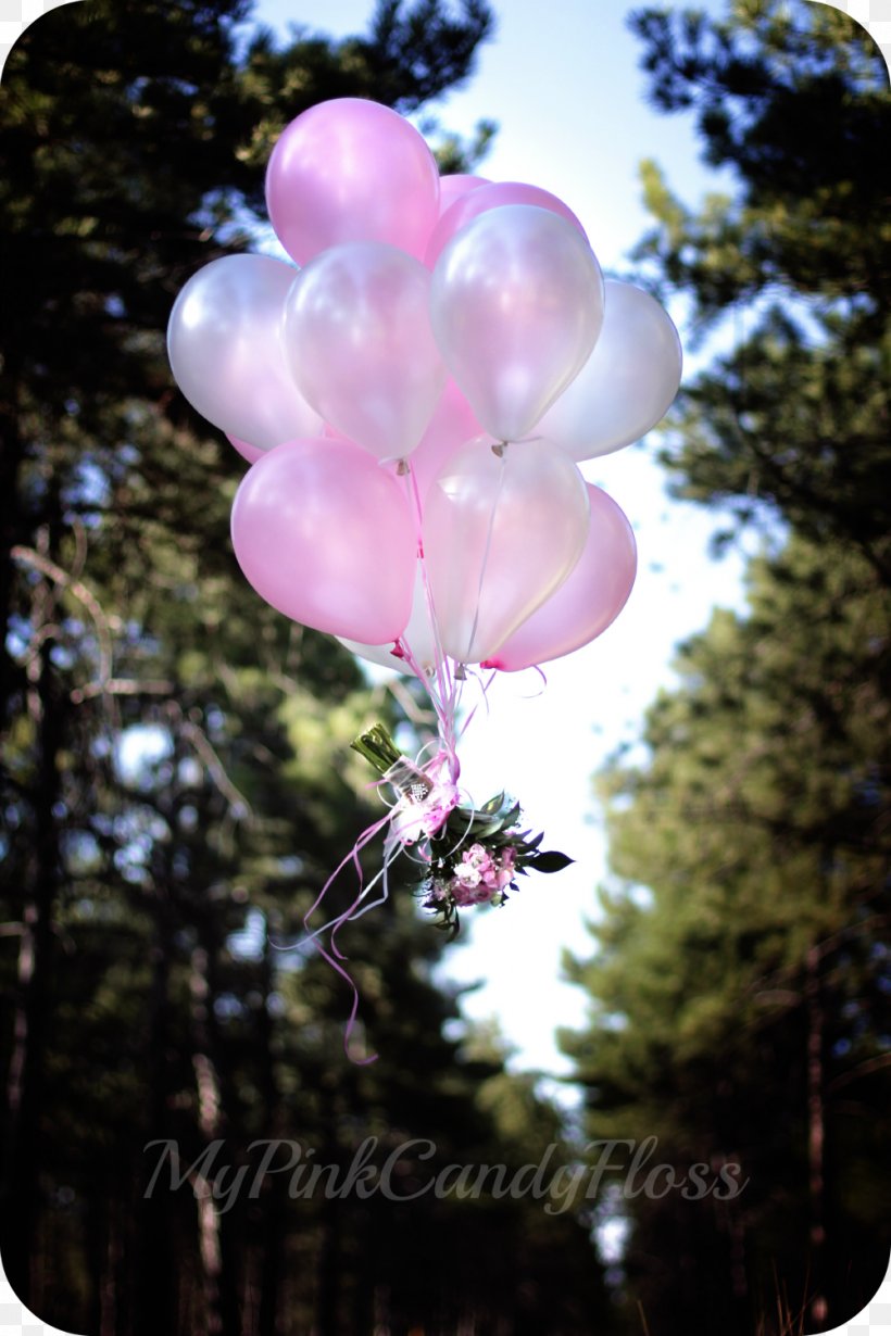 Balloon Pink M Petal, PNG, 1000x1500px, Balloon, Blossom, Branch, Flora, Flower Download Free
