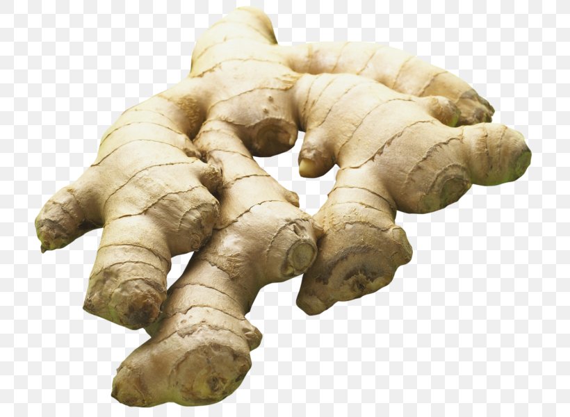 Desktop Wallpaper Transparency Ginger Image, PNG, 800x600px, Ginger, Curcuma, Digital Image, Food, Galangal Download Free