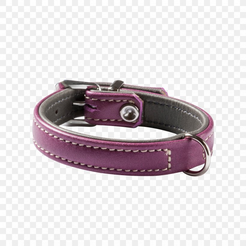 Dog Collar Strap, PNG, 1740x1740px, Dog Collar, Belt, Belt Buckle, Belt Buckles, Bordeaux Download Free
