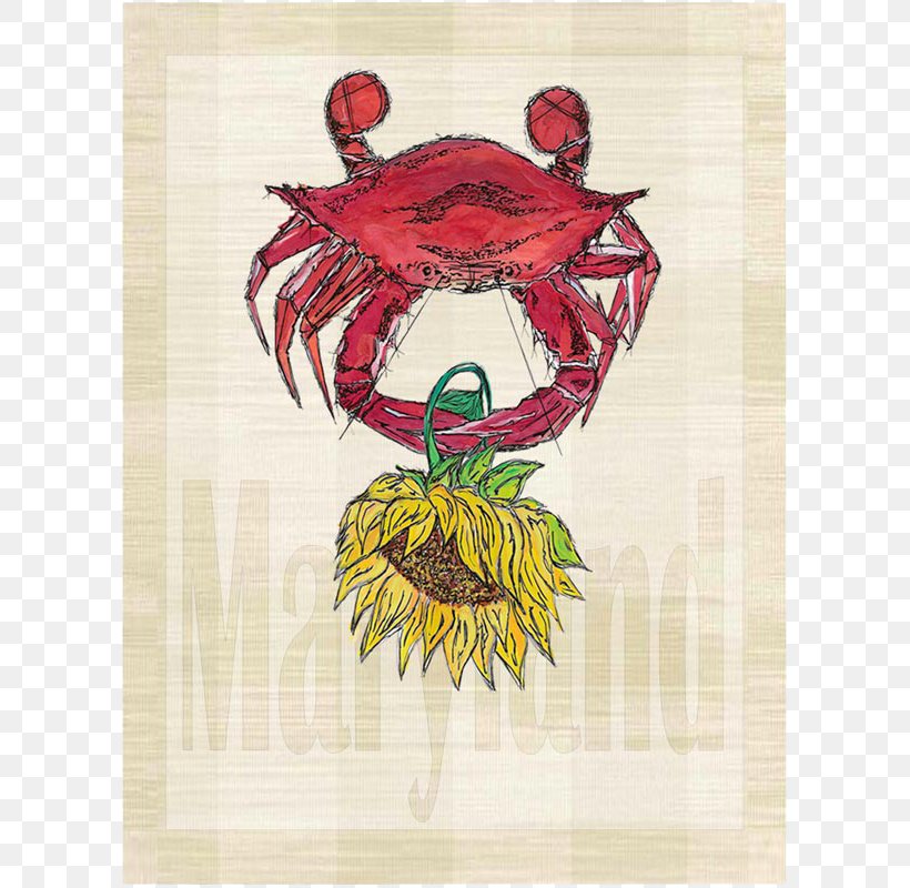 Mondo Deco Christmas Island Red Crab Art Black-eyed Susan, PNG, 800x800px, Watercolor, Cartoon, Flower, Frame, Heart Download Free