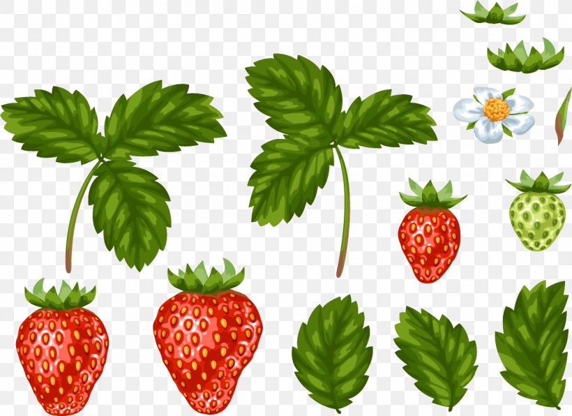 Strawberry Leaf Food, PNG, 1316x958px, Strawberry, Aedmaasikas, Berry, Drawing, Flower Download Free