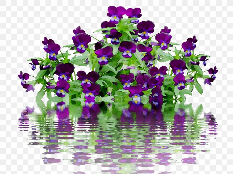 Annual Plant Violet Pansy Plants Flowering Plant, PNG, 1587x1184px, Annual Plant, Aloysia, Art, Bellflower, Blossom Download Free