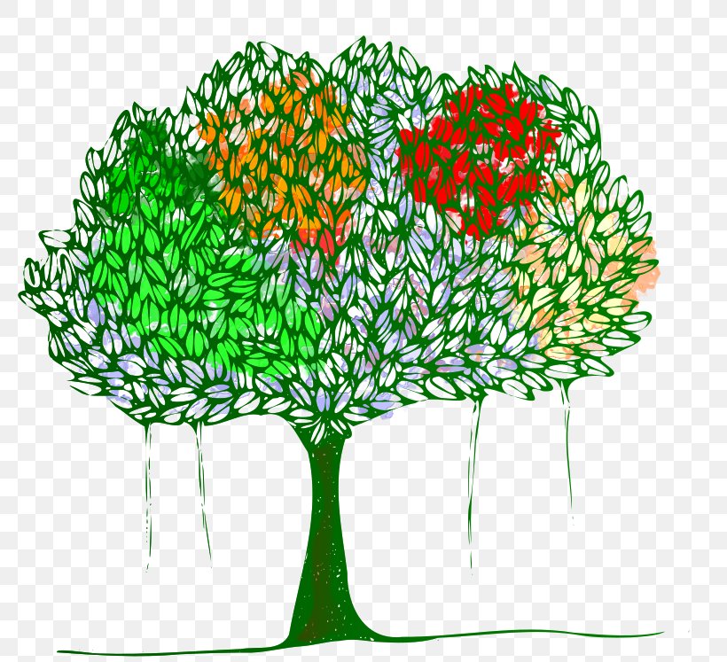 Branch Tree Banyan Clip Art, PNG, 800x747px, Branch, Arbor Day, Arbor Day Foundation, Banyan, Canopy Download Free