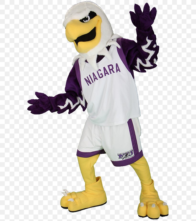 Niagara University Niagara Purple Eagles Women's Basketball Mascot Monte Costume, PNG, 599x927px, Niagara University, Beak, Bird, Book, Clothing Download Free