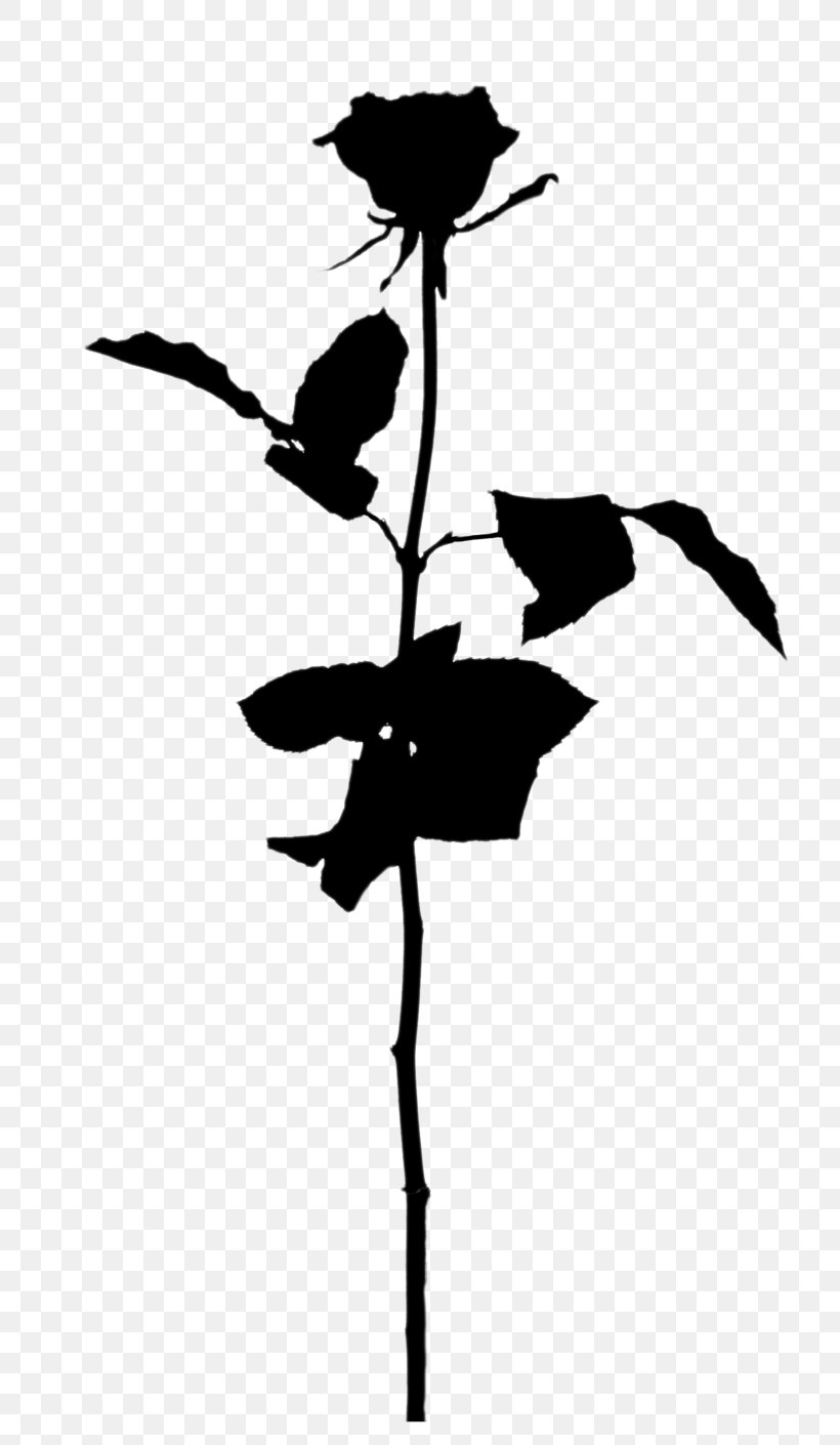 Twig Plant Stem Flower Leaf Silhouette, PNG, 800x1410px, Twig, Blackandwhite, Botany, Branch, Flower Download Free