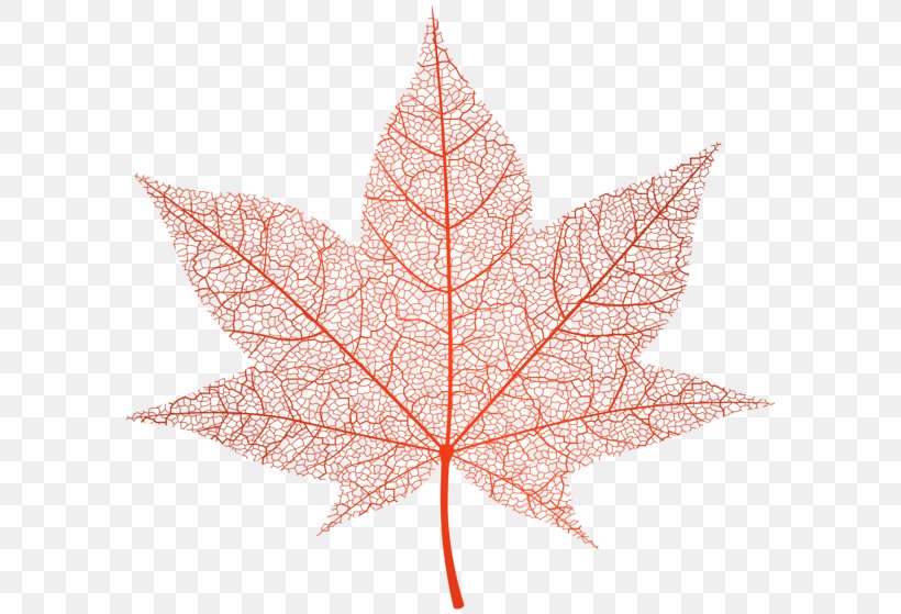 Autumn Leaf Color Maple Leaf Clip Art, PNG, 600x559px, Autumn Leaf Color, Autumn, Data Compression, Flac, Green Download Free