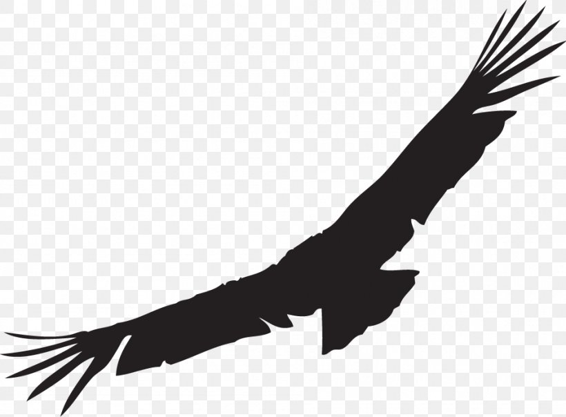 Bald Eagle California Condor Silhouette Andean Condor, PNG, 948x699px, Bald Eagle, Accipitriformes, Andean Condor, Arm, Beak Download Free
