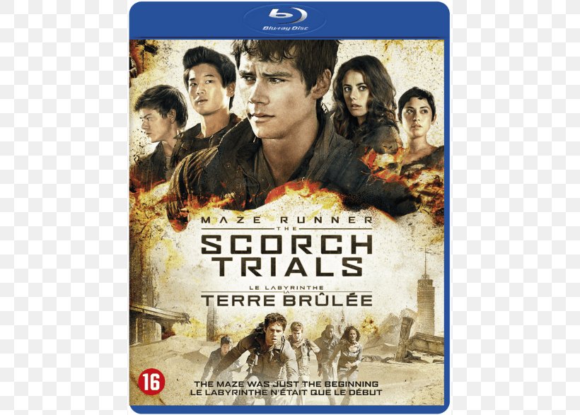Dylan O'Brien Maze Runner: The Scorch Trials Blu-ray Disc Amazon.com, PNG, 786x587px, Maze Runner The Scorch Trials, Amazoncom, Bluray Disc, Digital Copy, Dvd Download Free