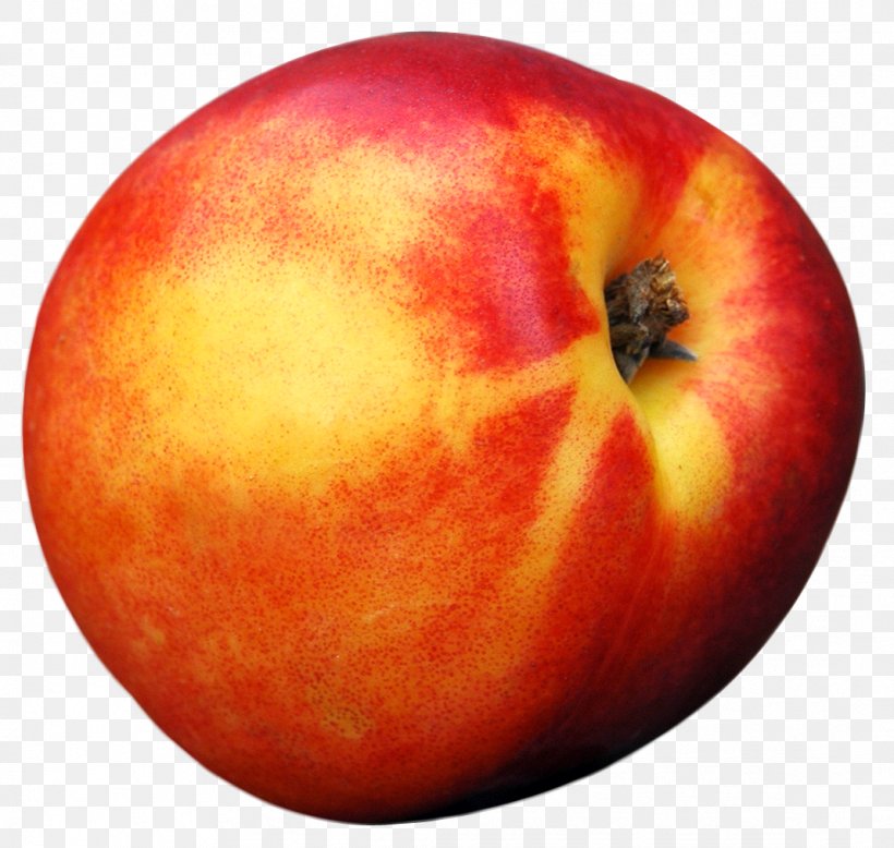 Peach Fruit, PNG, 1068x1014px, Peach, Apple, Bit, Blueberry, Digital Media Download Free